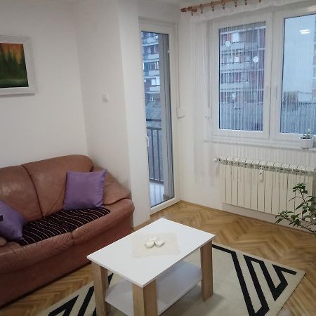 Apartman Ana سوبوتيتْسا المظهر الخارجي الصورة