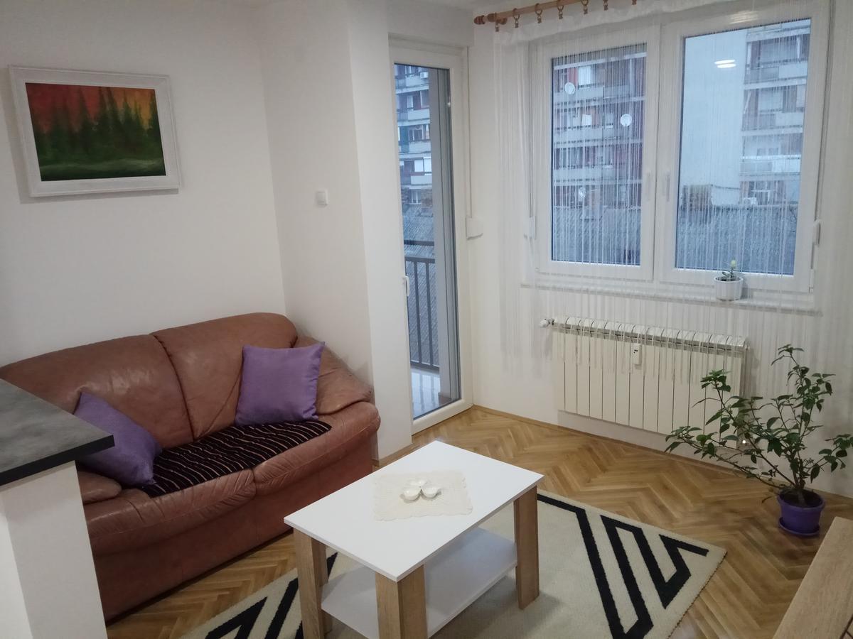 Apartman Ana سوبوتيتْسا المظهر الخارجي الصورة