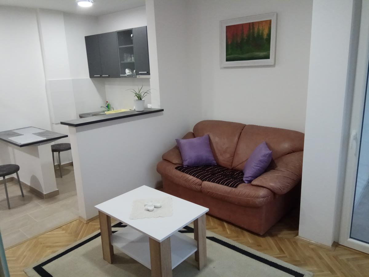 Apartman Ana سوبوتيتْسا المظهر الخارجي الصورة